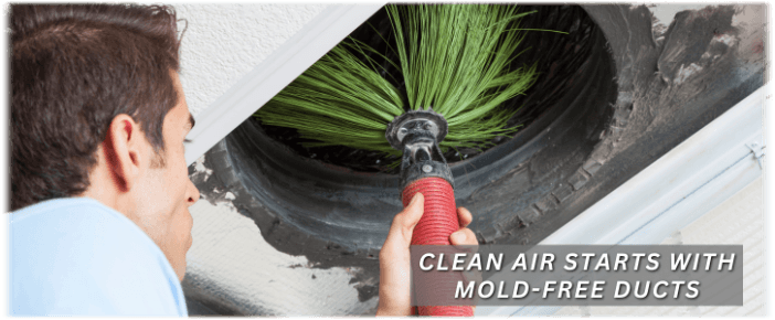 Air Duct Mold Removal in Missouri City